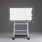 Interactive whiteboard D5530